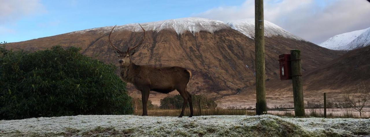 Seaview Pod And Hot Tub Villa Ballachulish Bagian luar foto
